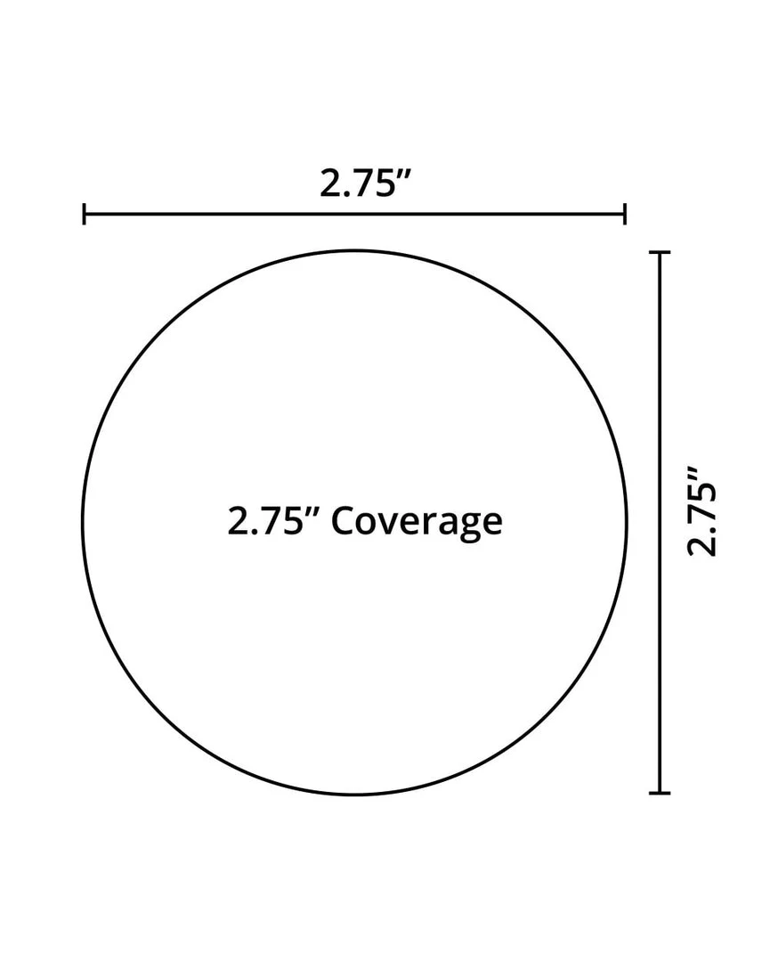 Neva Nude Spiral Hologram Pasties 4 Neva Nude Spiral Hologram Pasties