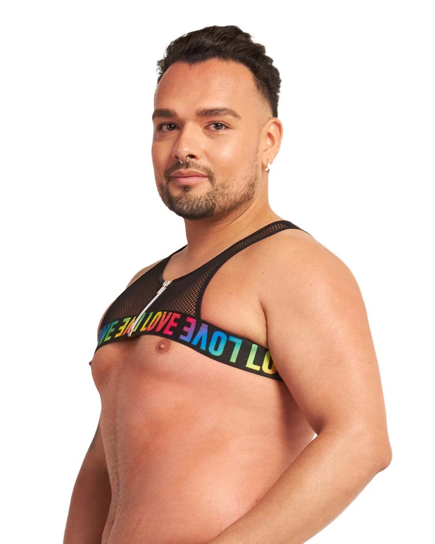 New Arrivals Roma Rainbow Disco Fishnet Harness 6 New Arrivals Roma Rainbow Disco Fishnet Harness